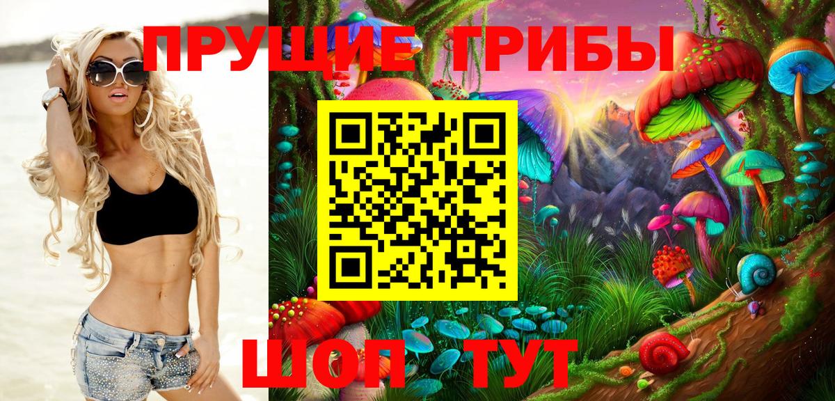 Псилоцибиновые грибы GOLDEN TEACHER  Вход с VPN  Псилоцибиновые грибы ЛСД  Юрга 